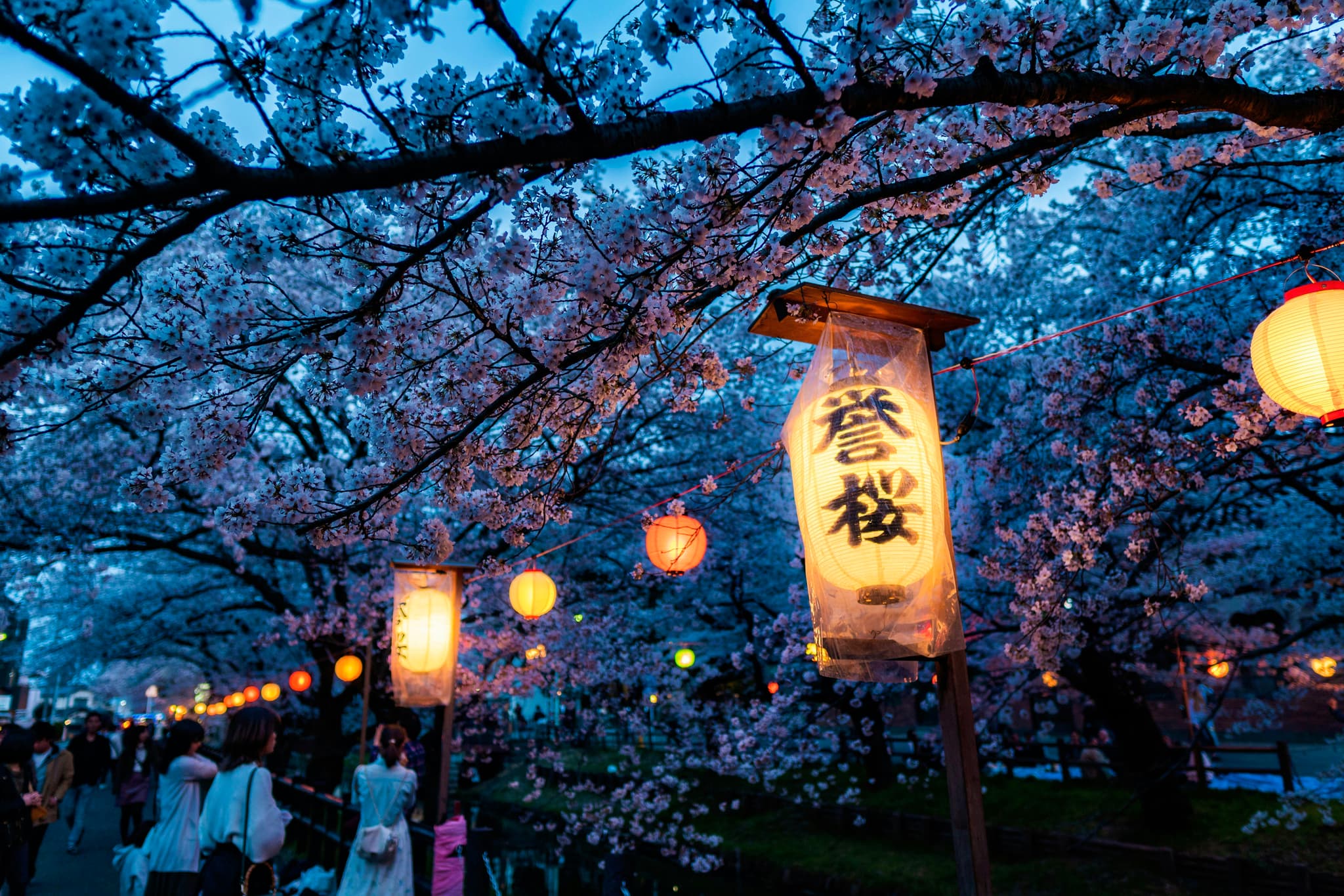 Top 10 places to visit in Japan