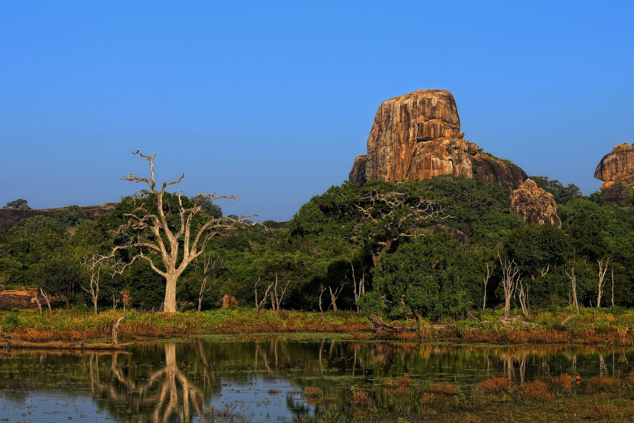 Top 10 places to visit in Sri Lanka