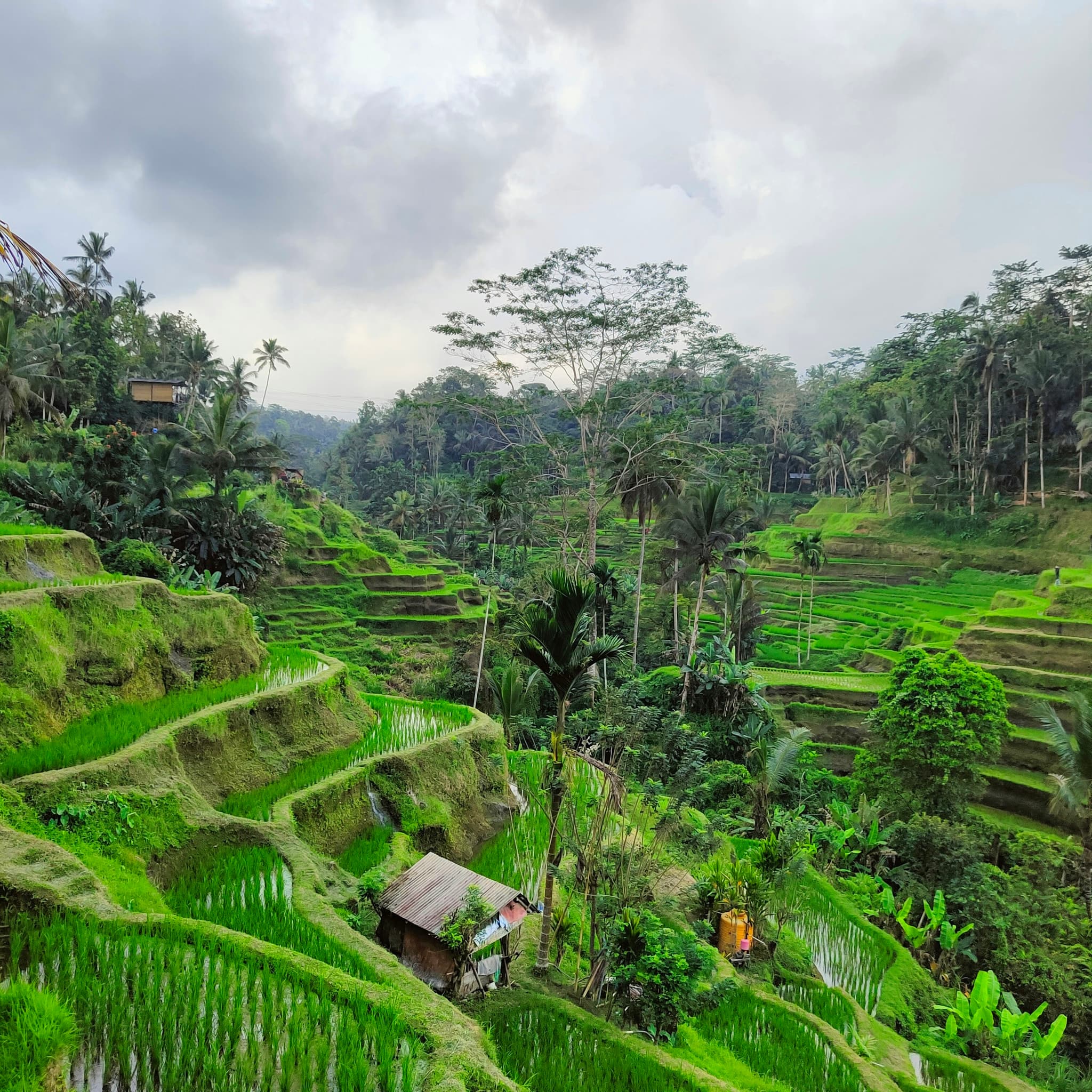 Top 10 places to visit in Bali